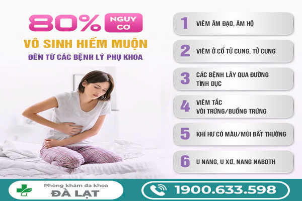 Hình ảnh minh họa